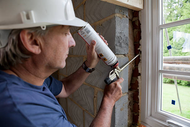 Best Cellulose Insulation in Somerset, WI